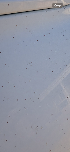 Photo from customer review